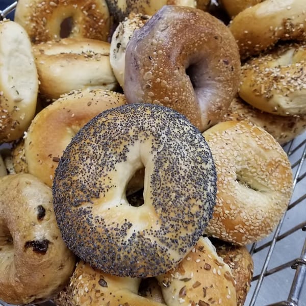 Assortment of New York Bagels 'N Bialys bagels, including poppy seed, sesame, and everything varieties.