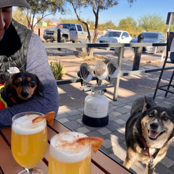 Two dogs and two drinks on an outdoor patio with cars and trees in the background.